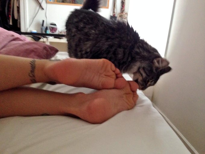 Thats how I my cat wake me up every mornings. He licks and bites my toes...lol http://t.co/eTfkwa4ob<a href="/tag/feet"class="tags"><span>#feet</span></a><a href="/tag/tattooedfeet"class="tags"><span>#tattooedfeet</span></a>