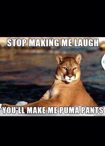 DailyFunFun's tweet image. 