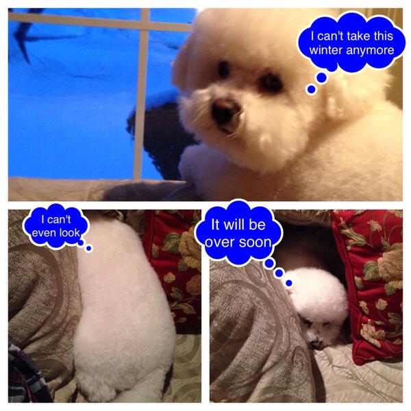 Hi, Abby here. This was my day yesterday. I need to go for a walk! The Expo is really hopping now. <a href="/Brollytime/">Brollytime</a>