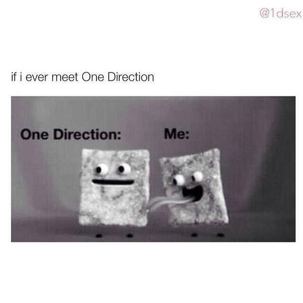harrydimples2's tweet image. If I ever meet one direction hahah #DirectionersDay