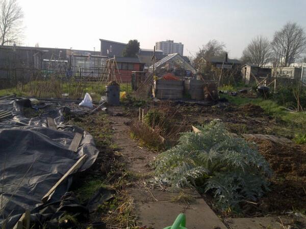 Lovely tottenham allotment weather