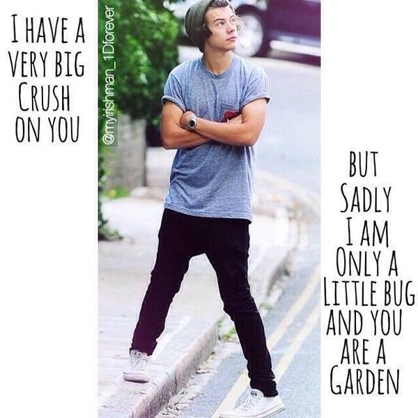 harrydimples2's tweet image. I am just a little big and your a garden&amp;lt;\3