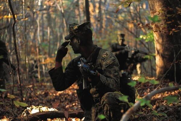 militarypic's tweet photo. Us Officer in the bushes http://t.co/w6q8XKvdKr