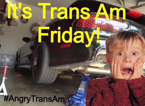 AngryTransAm's tweet image. HIDE THE KIDS! 
It's #TransAmFriday ! 

#AngryTransAm #ls1Tech @StOutlawsTina