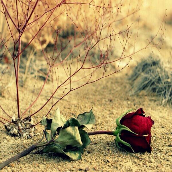 m6w10's tweet photo. http://t.co/ZWMNsnJl6z