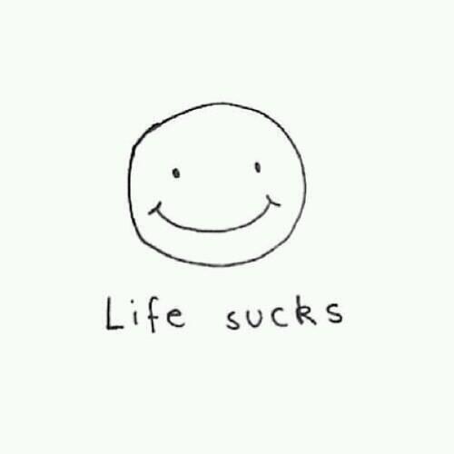 romy_xxo's tweet photo. http://t.co/965H9d1bSi