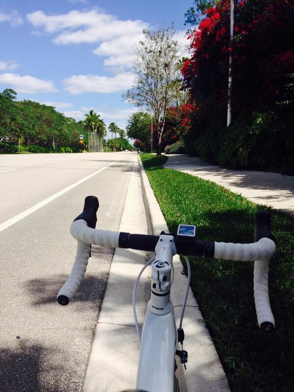 Lauren Scafidi tweet media