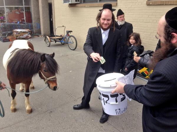 Masbia's tweet photo. Thanks to our friends at @bklynpony for helping raise awareness and donations during our Purim campaign in #BoroPark http://t.co/0ah57UF5Ya