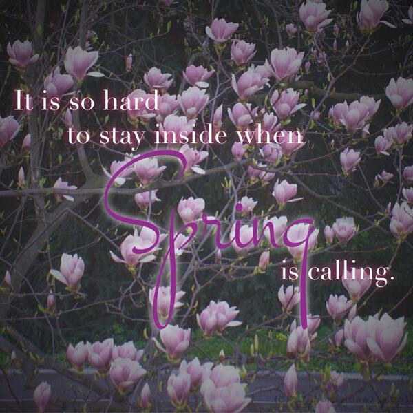 traceysfancy's tweet photo. http://t.co/RlCB1b3Bcb