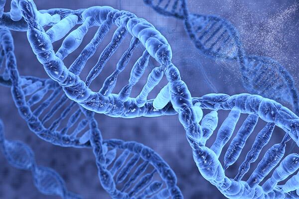 BrookhavenLab's tweet photo. RT @SLAClab: New method for observing proteins in action pioneered by @Stanford scientists: http://t.co/YgdlFTDccI http://t.co/WckrJaUGPo