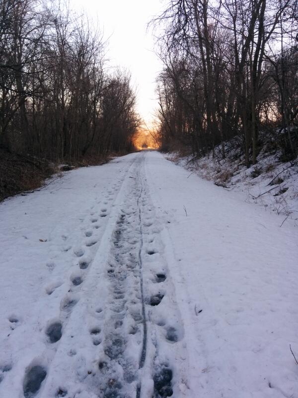 Linn County Trails tweet media