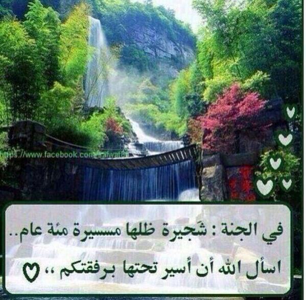 jeongiasnn's tweet photo. @bssmtkher
@abdallh_RT
@mnabe3_al5eer
@3_A707
@ammor55
@Rt_islamme 
@maaamll9 http://t.co/G74AqP0o9a