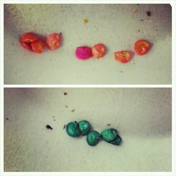 Nin3rr's tweet photo. Just planted blue and pink chili pepper seeds! Plus my supervisor played a song on his ukulele for us! #baumlerlab http://t.co/jq8xrmgWbr