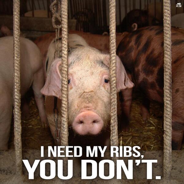 PETA on Twitter: PETA on Twitter: