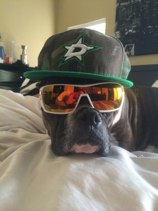 DallasStars's tweet image. Most rad dog you'll ever see. MT @Dutch_Oven45: We are ready at the house are u? #BeatFlames #starpower #rallywrigley