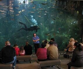 DimensionalComm's tweet photo. This was a fun project! @SeattleAquarium allowed us to improve items such as microphones, speakers, and monitors. http://t.co/Z3rpYDkxfb