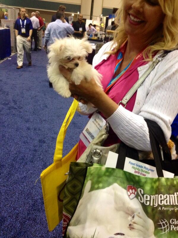 "Do you carry an extra extra extra extra small BrollyLeash? <a href="/Brollytime/">Brollytime</a> <a href="/broadwaybarks/">Broadway Barks</a> <a href="/OfficialBPeters/">Bernadette Peters</a> #leash #dog