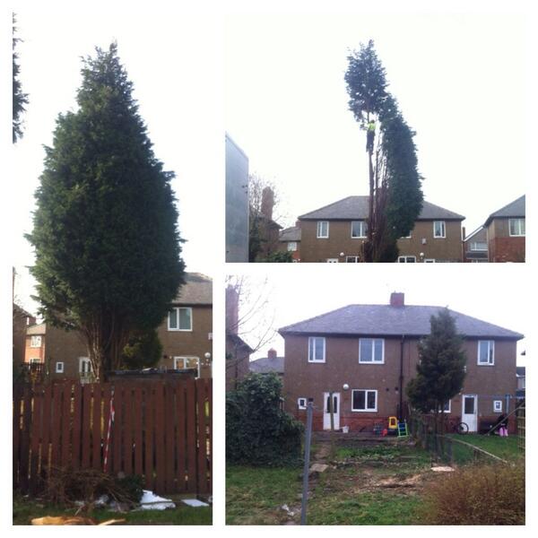 cmordue30's tweet photo. Bye bye tree http://t.co/PHePdRAbTb
