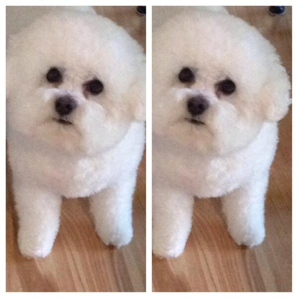 Hi it's me, Abby! I must say I'm such a good tweeterer that I am beside myself. Loved the Expo, did you? <a href="/Brollytime/">Brollytime</a>