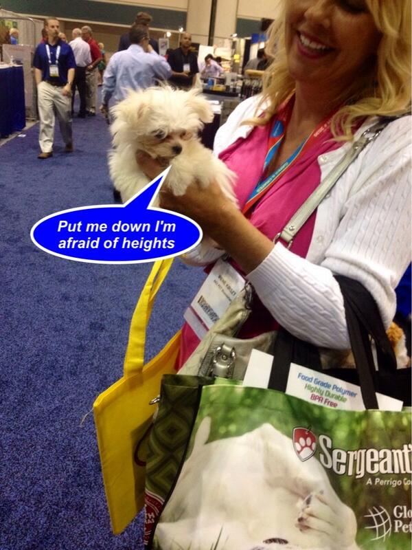 Uh oh he's back again. He'll be ok. I'll tweet ya later. Glad you all visited, thank you very mutt! <a href="/Brollytime/">Brollytime</a>