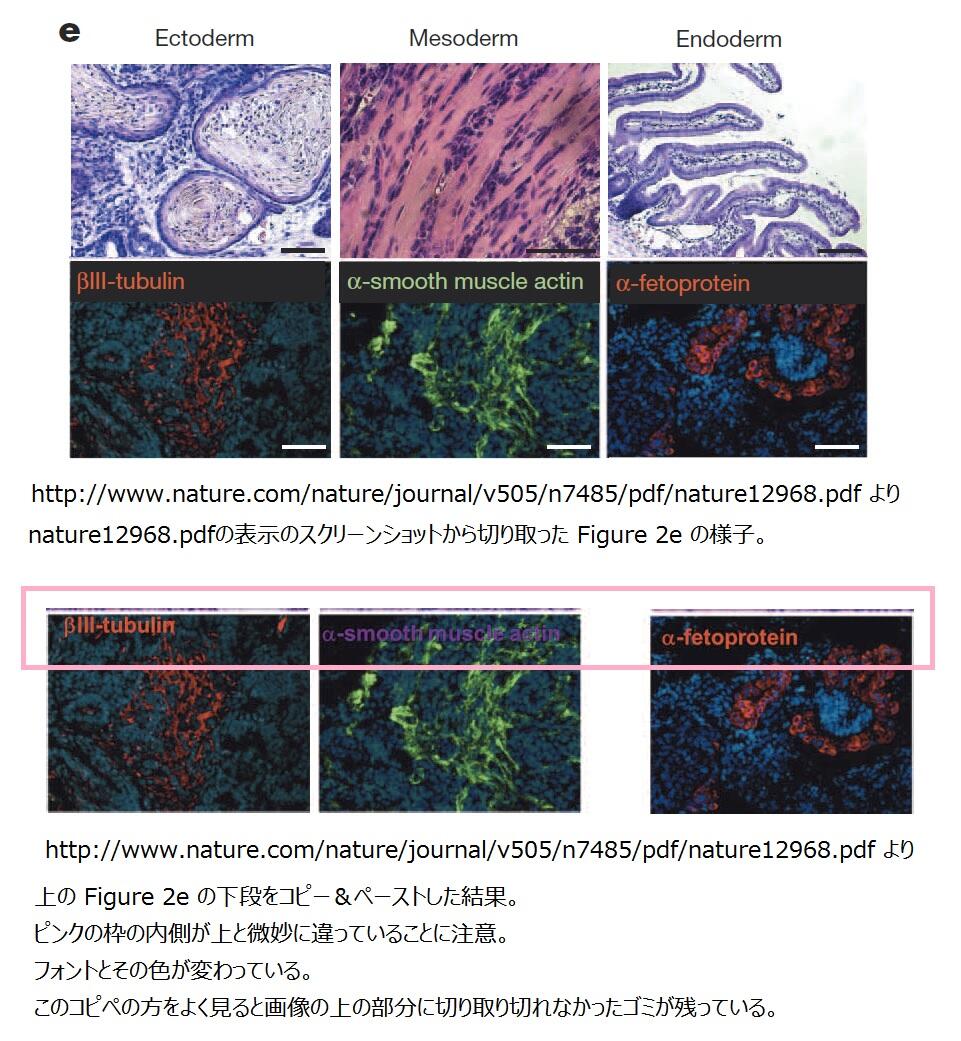 黒木玄 Gen Kuroki 続き Nature論文 Http T Co Azn3folq1u のfigure 2eの下段とそのコピペ結果の比較 実は時事問題は結構無視していることが多くてよく理解できていないんだけど この画像の比較は分かり易い Http T Co Halmhmlpor 黒木玄 Gen Kuroki 続き Nature論文 Http T Co Azn3folq1u のfigure 2eの下段とそのコピペ結果の比較 実は時事問題は結構無視していることが多くてよく理解できていないんだけど この画像の比較は分かり易い Http T Co Halmhmlpor