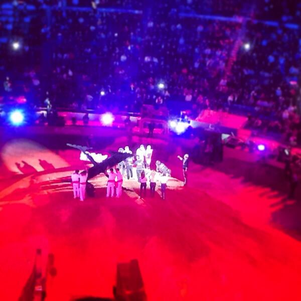 #RedBullXFighters 👍