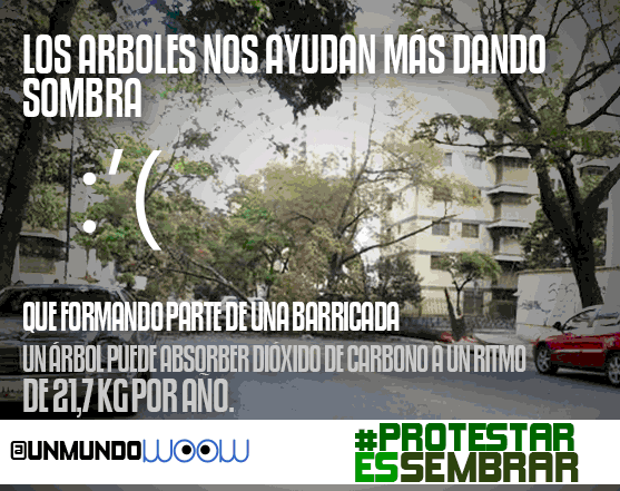 cardozoink's tweet photo. @CarlosCoste1 Hola, ayúdame a concientizar por una protesta libre de tala de arboles #ProtestarEsSembrar http://t.co/04GAQU9VKp
