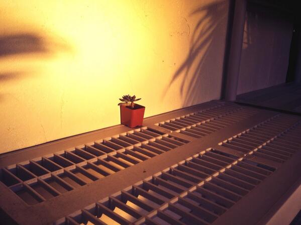 spros1964's tweet image. Optimism