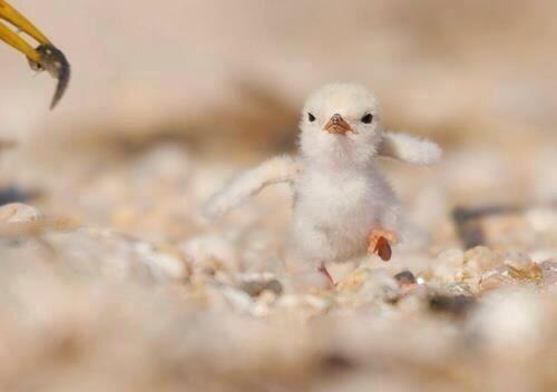 _Paisajes_'s tweet photo. Hey! Tu, ven y dimelo de frente. http://t.co/r2pkpiNjWW