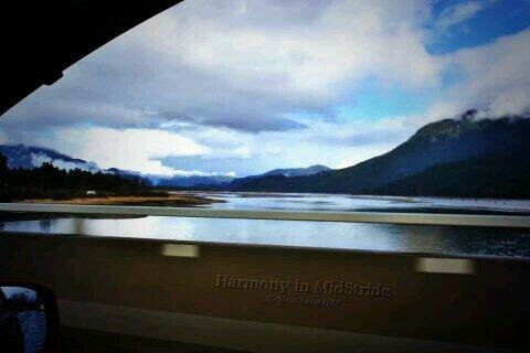 DRIVE BY SHOOTING! RT @HarmonyInMidstr: "on bridge near Deroche yesterday" @Scenic7BC <a href="/harrisontourism/">Tourism Harrison</a>