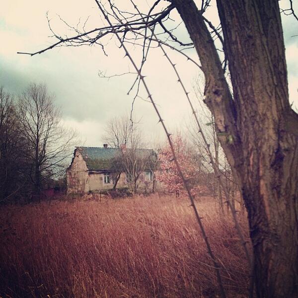 untypicalpolish's tweet photo. #gliwice #bojkowska #haus #house #tree #poland #silesia #polishview #sky #instalike #like #l4l #like4like http://t.co/QrxzYJvL6d