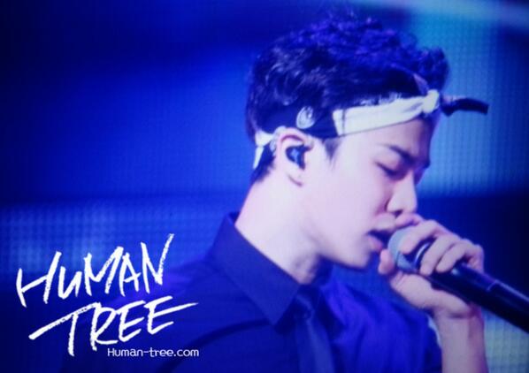 埋め込み画像への固定リンク