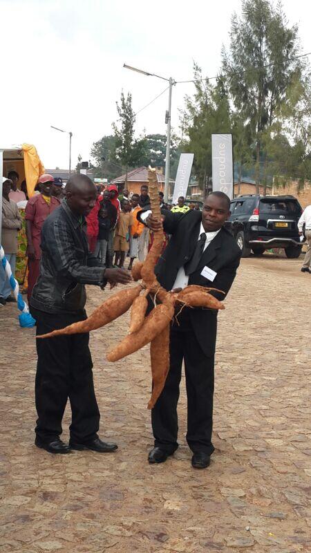 ByiringiroEmile's tweet photo. @NYAMAGABE ,@rwandasouthern @NLadislas @RwandaMoH ,@RwandaLocalGov 
@Nyamagabe Dist,Inzara yabaye amateka! http://t.co/4CXcpk4gMN