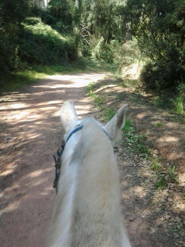 Alguna foto más de hoy por la mañana