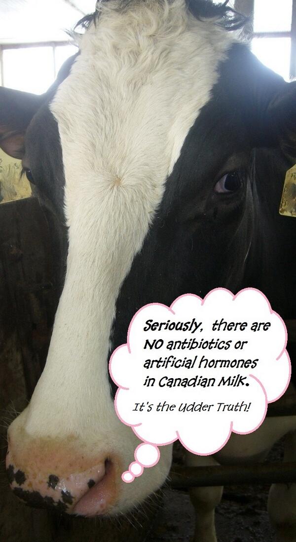 DairyFarmher's tweet photo. Milk is the most heavily safety-tested food in the Canadian food supply system. #agfact #teamdairy @100CanadianMilk http://t.co/zpcm5fPFkt