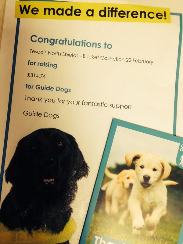 tesco2969's tweet photo. We raised £314.74 for Guide dogs! 👍👏😊 #scaleforgood http://t.co/aspAZU7AqR