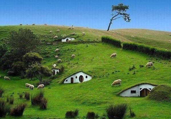 TheEarthPosts's tweet image. Hobbit Village, New Zealand