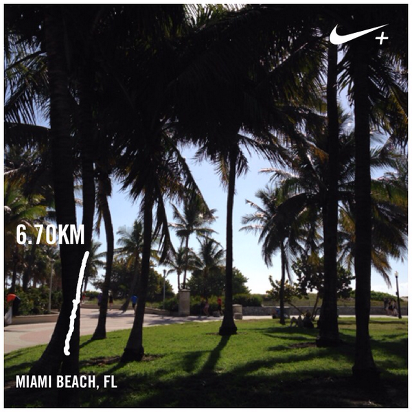 ThaliaRe's tweet photo. Sem 1 done! #enroutetoSanDiego @eduardoangulovillamil I just ran 6.70 km with Nike+. http://t.co/fmYNiBeC4i #nikeplus http://t.co/pzUTJKEG6n