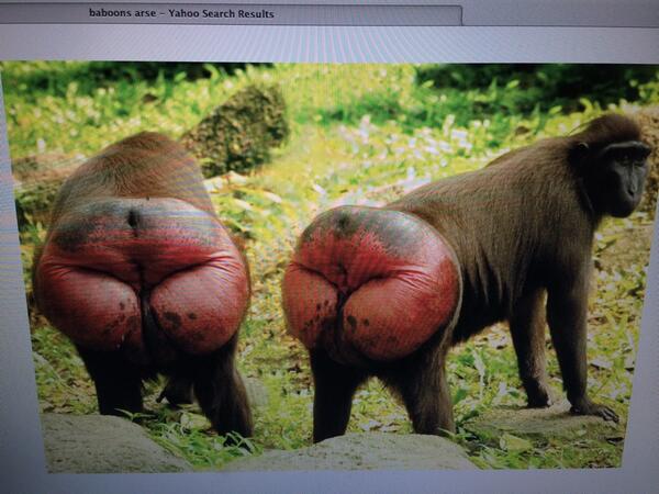 Gary Lineker Great To See Alan Shearer And Robbiesavage8 Have Arrived Early For Motd Http T Co Wfueyqnrm1 Twitter