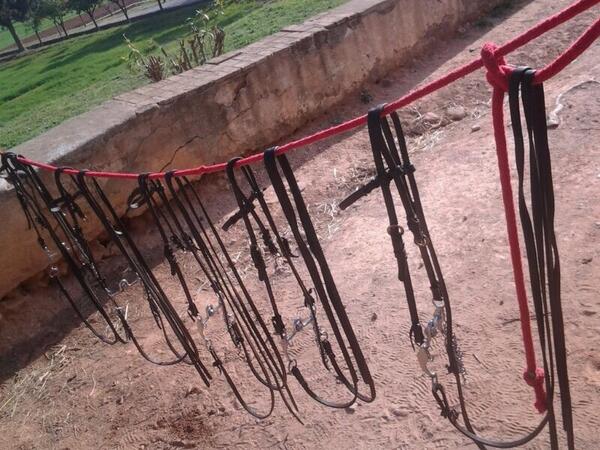 Limpiando material después de excursión