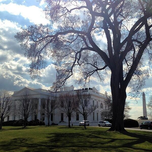 whphotos2013's tweet image. Sittin pretty #oldoaktree #saturdaymorningstroll #whitehouse