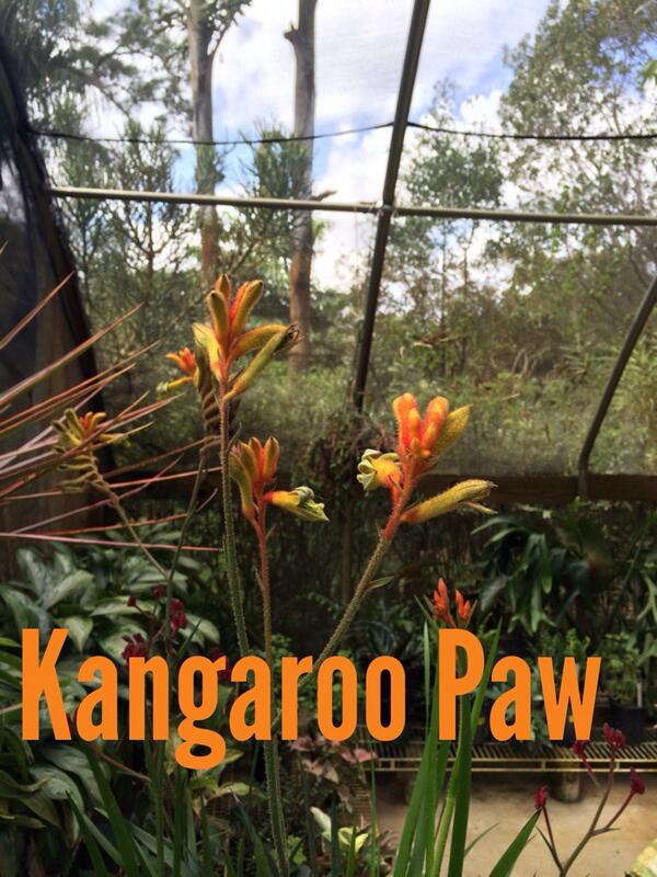 Raff (@rvpiii) on Twitter photo 