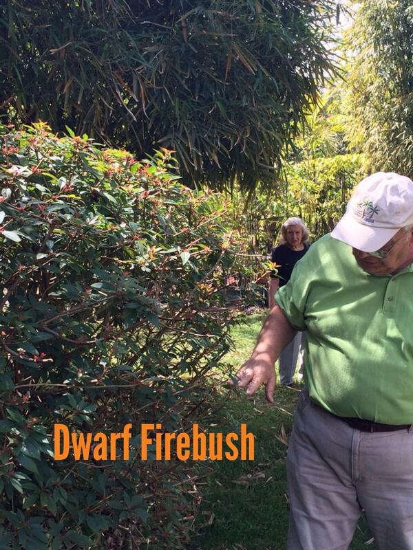 Raff (@rvpiii) on Twitter photo 