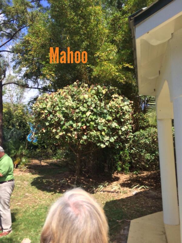 Raff (@rvpiii) on Twitter photo 