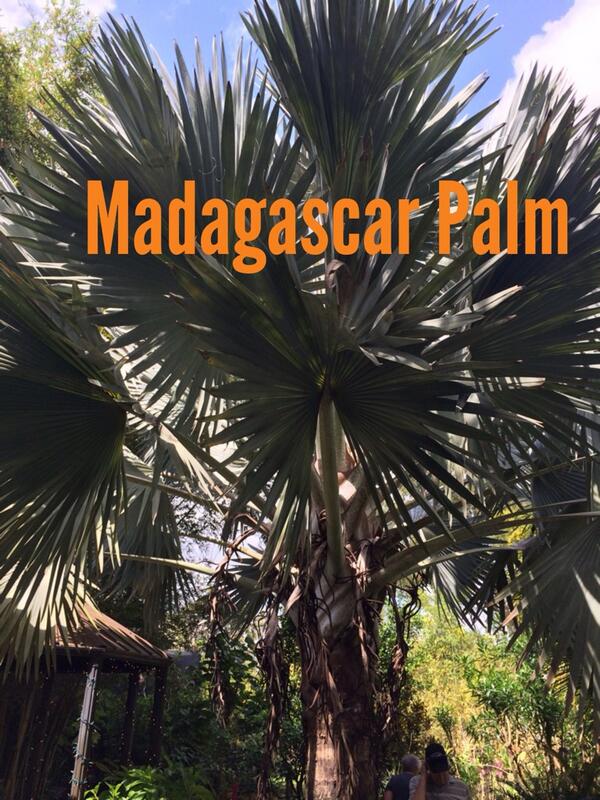 Raff (@rvpiii) on Twitter photo 