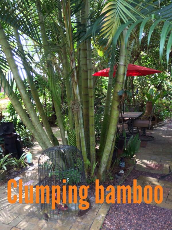 Raff (@rvpiii) on Twitter photo 