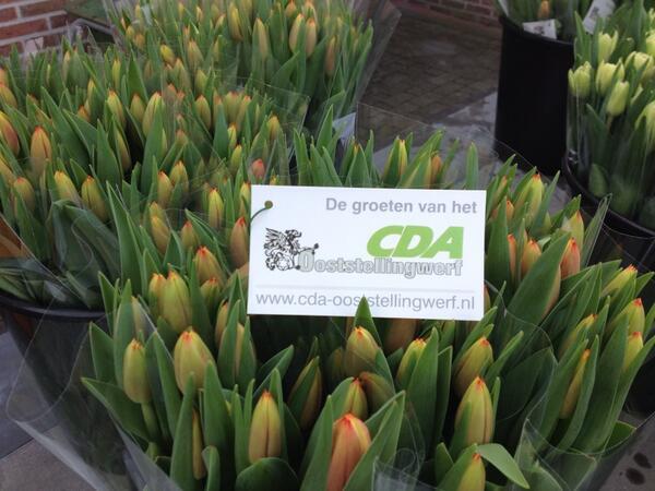 CDAOoststwerf's tweet image. Vandaag onze CDA tulpenrally langs alle 13 dorpen in de gemeente Ooststellingwerf. Veel spontane reacties gekregen.