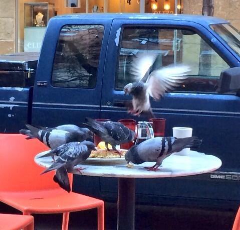 This is the best metaphor of what SXSW is like. The pancakes represent a shitty party. #pigeondouches #SXSW #SXSW14