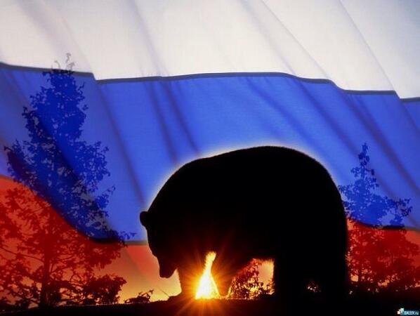 Permalien de l'image intégrée