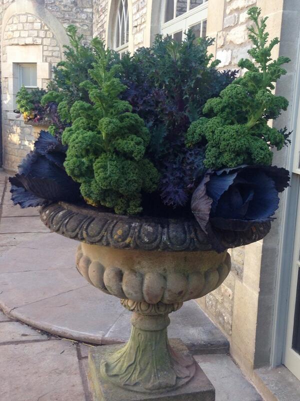 Georgie Rudge tweet media